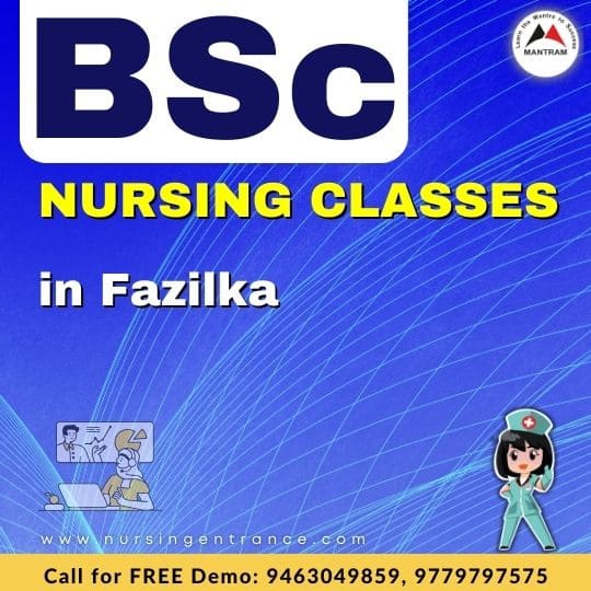 BSc Nursing Classes in Fazilka