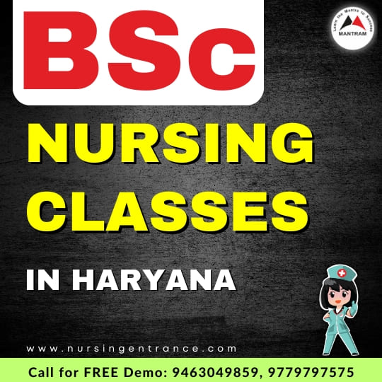 BSc Nursing Classes in Haryana