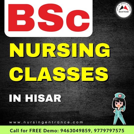 BSc Nursing Classes in Hisar