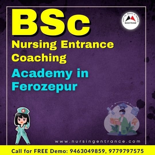BSc Nursing Entrance Coaching Academy in Ferozepur